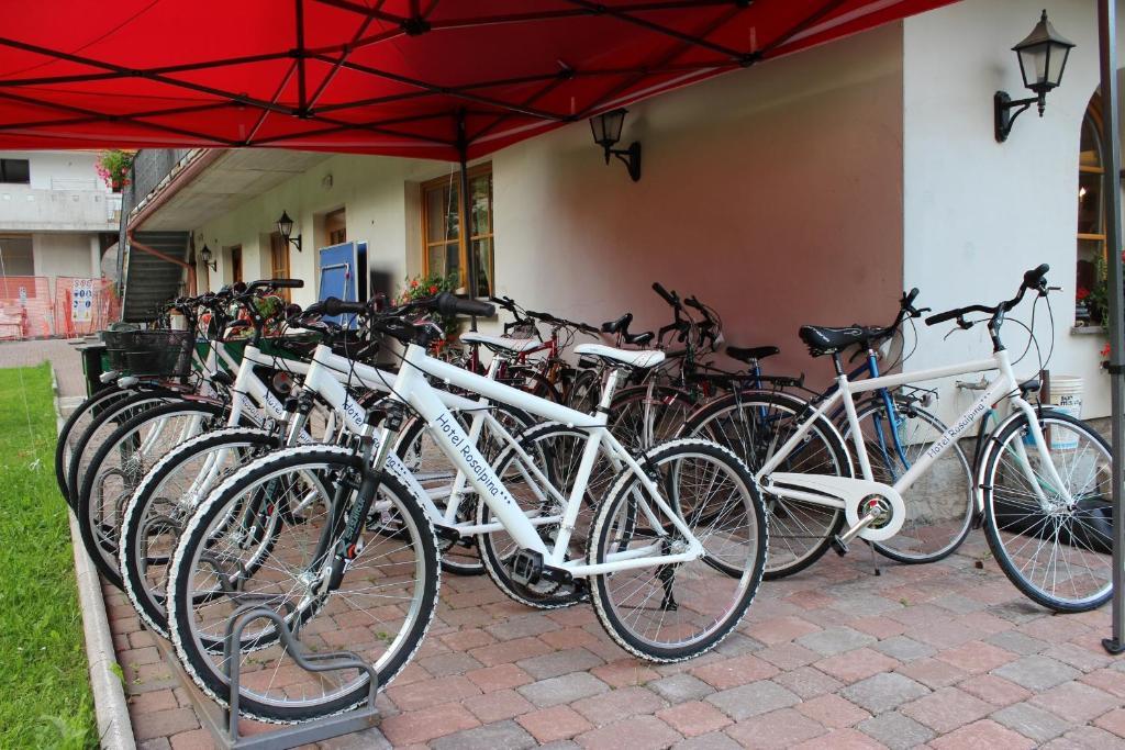 Hotel Rosalpina Soraga Ngoại thất bức ảnh